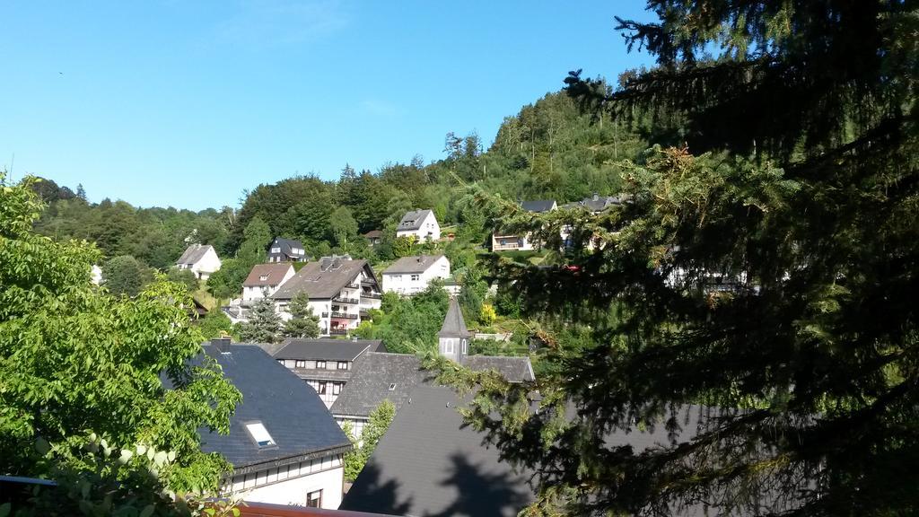 Landgasthof Goebel Gasthuis Willingen (Upland)