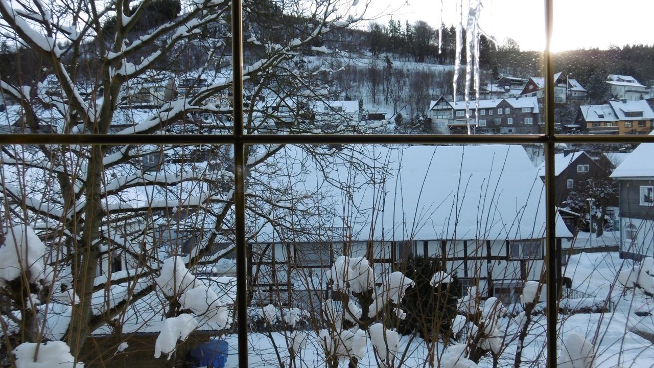 Landgasthof Goebel 3* Willingen (Upland)