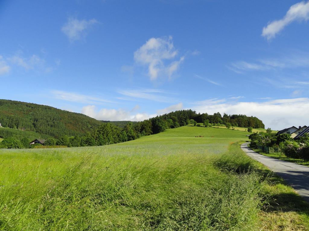 Gasthuis Landgasthof Goebel Willingen (Upland)